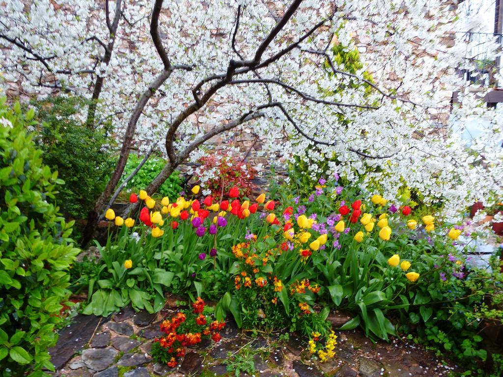 Jardines Del Robledo-Albar Guest House San Miguel del Robledo Bagian luar foto